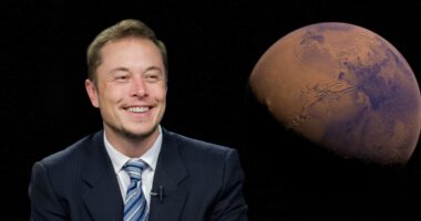 Elon Musk: AI Innovation with Neuralink and OpenAI